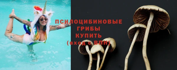 твердый Верхнеуральск