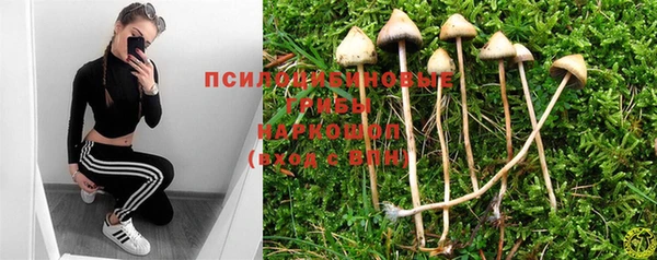 мдма Волоколамск