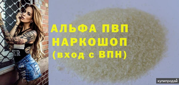 прущий лед Богданович