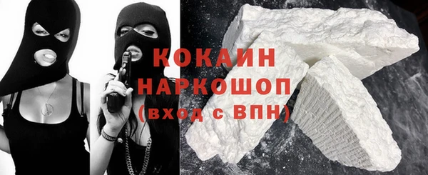 индика Долгопрудный